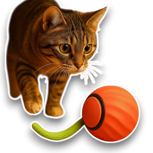 PawPlay Chaser® 2.0