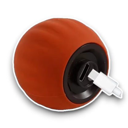 PawPlay Chaser® 2.0